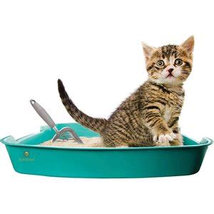 10 Best Cat Litter Scoops 2024: According to Reviews .